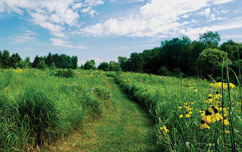 Prairie Pathway Trail