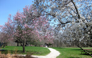 Picnic Area