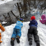 Looking in the creek