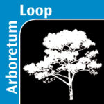 Arboretum Loop