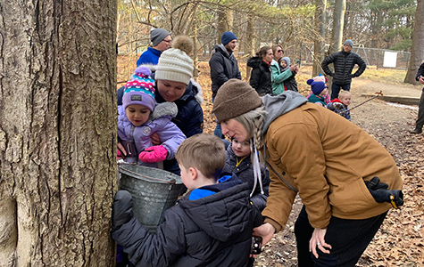 Families at a maple sugaring program