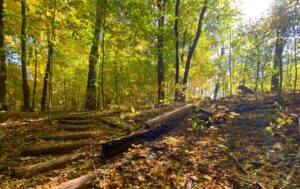 Headwaters Trail