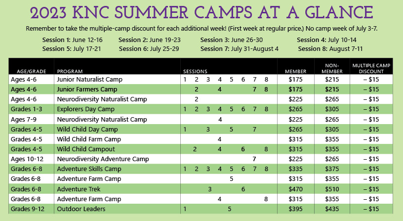 Camp at a glance