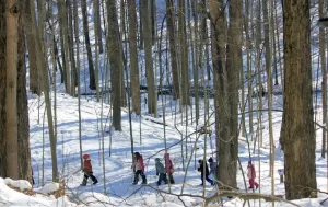 School Field Trip in winter