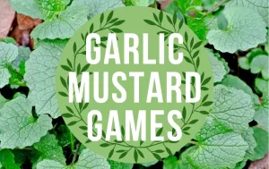 Garlic Mustard Games