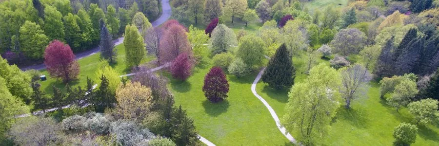 arboretum in spring