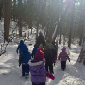 young children walking in forest on a nature program