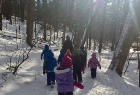 young children walking in forest on a nature program