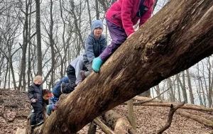 kids on tree