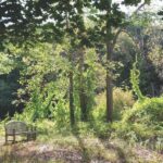 Stryker Nature Preserve