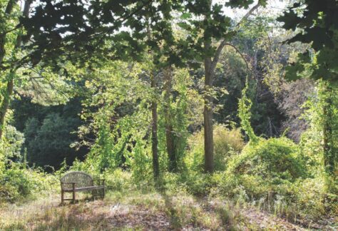 Stryker Nature Preserve