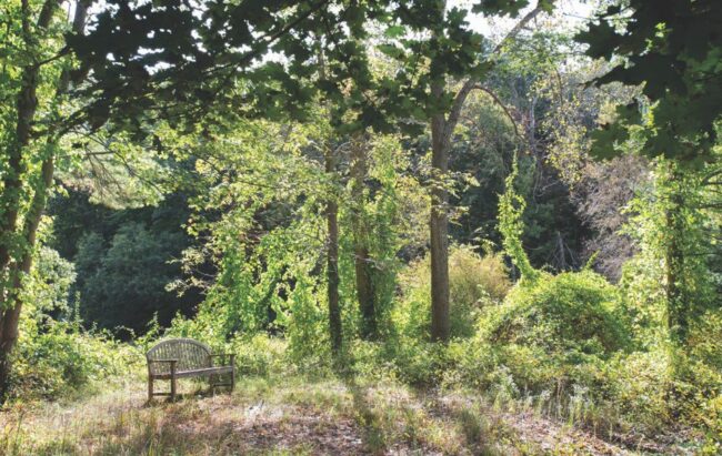 Stryker2 950×600 Stryker Nature Preserve