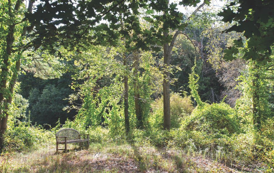 Stryker Nature Preserve