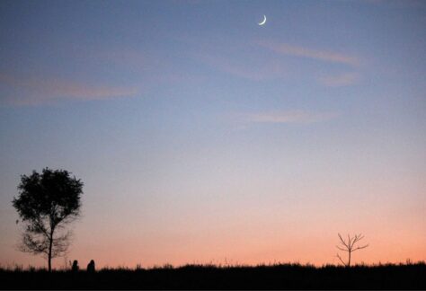 night hike