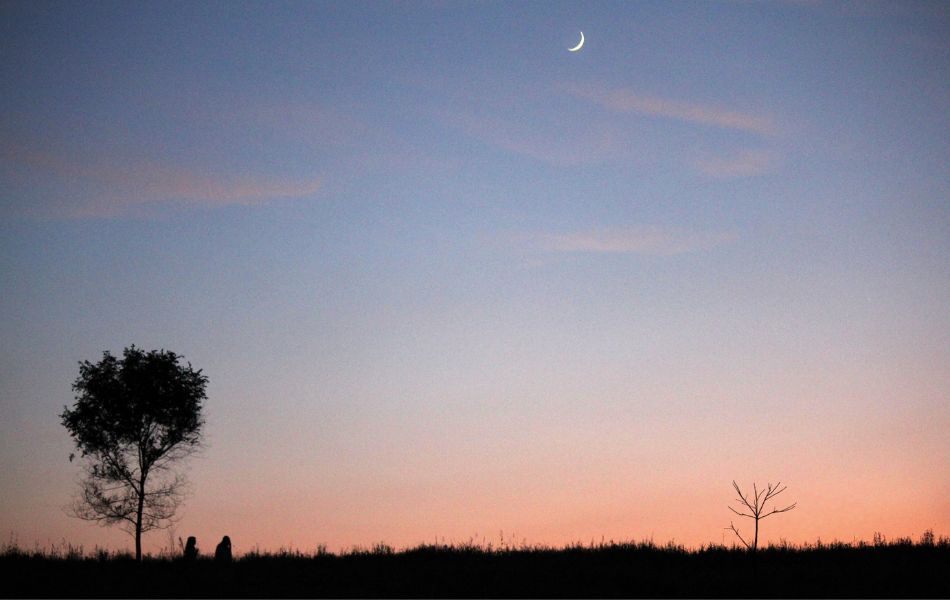 night hike
