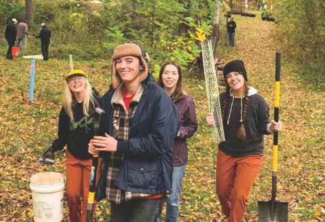 volunteers walking through forest
