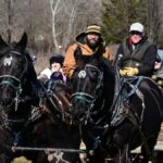 horse drawn wagon in field