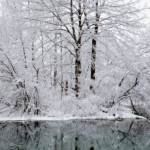 Habitat haven trail at the kalamazoo nature center in winter