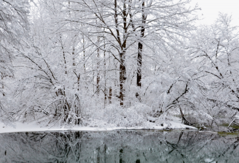 Habitat haven trail at the kalamazoo nature center in winter