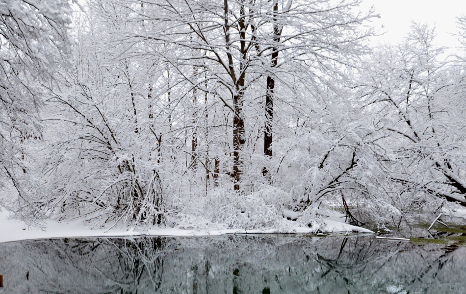 Habitat haven trail at the kalamazoo nature center in winter