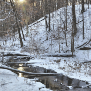 A river in winter at the Kalamazoo Nature Center