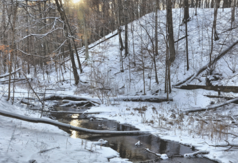A river in winter at the Kalamazoo Nature Center