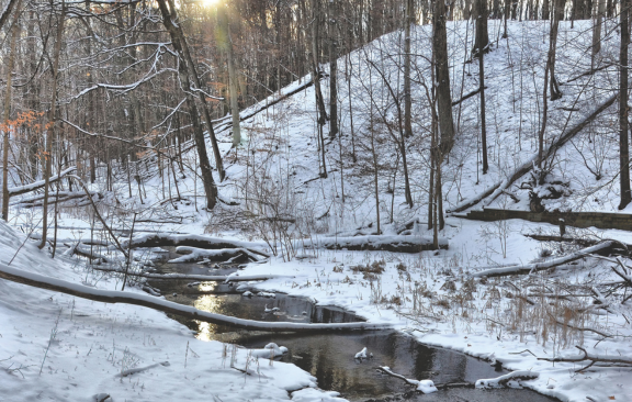 A river in winter at the Kalamazoo Nature Center