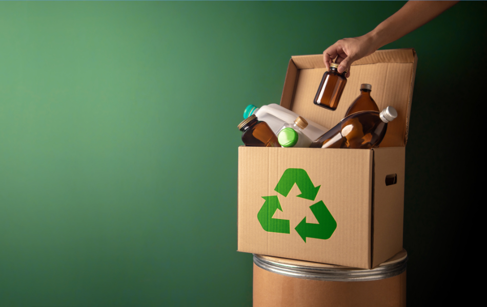 Silver maples recycling