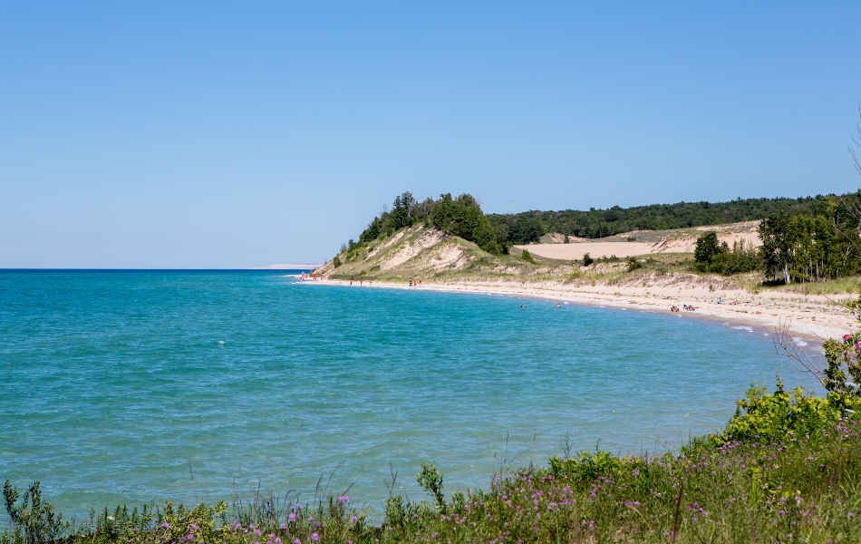 Silver maples sea michigan Lake Michigan shoreline