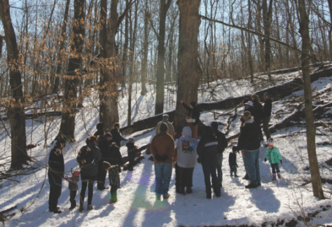 A group of people in a forest at the Kalamazoo Nature Center