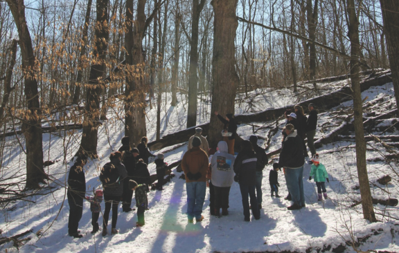 A group of people in a forest at the Kalamazoo Nature Center
