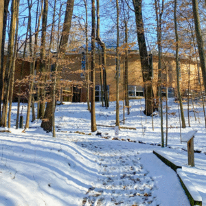 Winter walk at the kalamazoo nature center