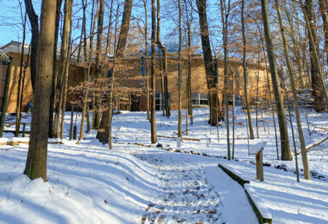 Winter walk at the kalamazoo nature center