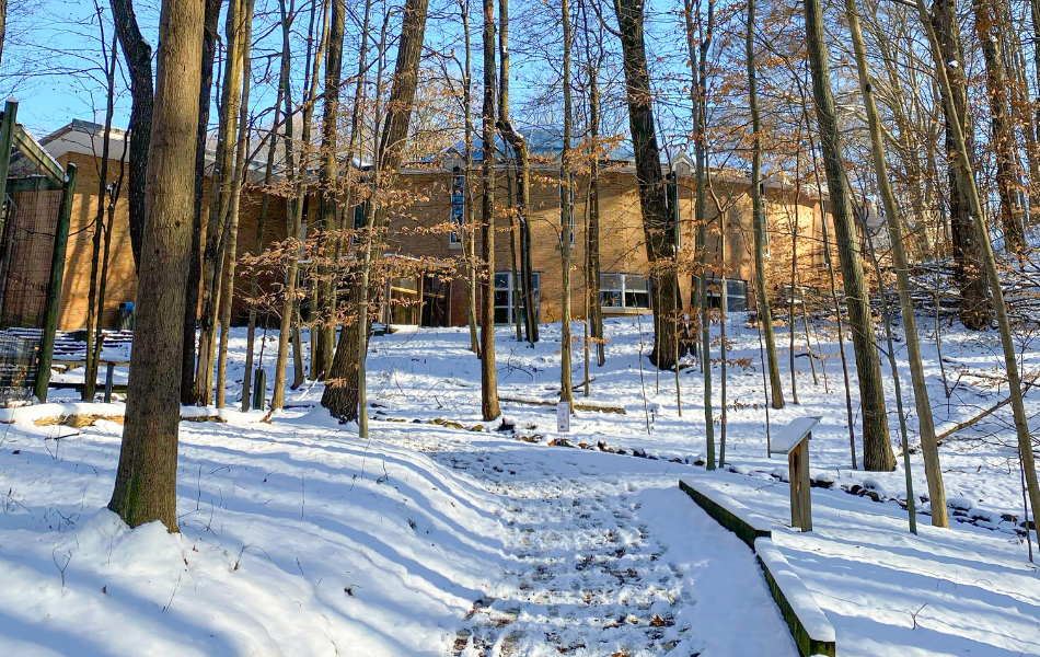 Winter walk at the kalamazoo nature center