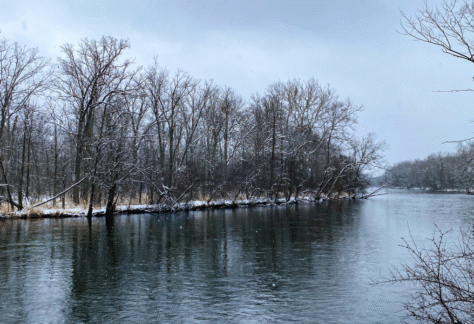 Kalamazoo River at the kalamazoo nature center