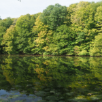 discover KNC guided hike