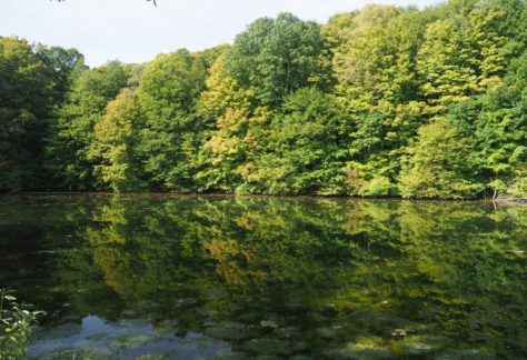 discover KNC guided hike