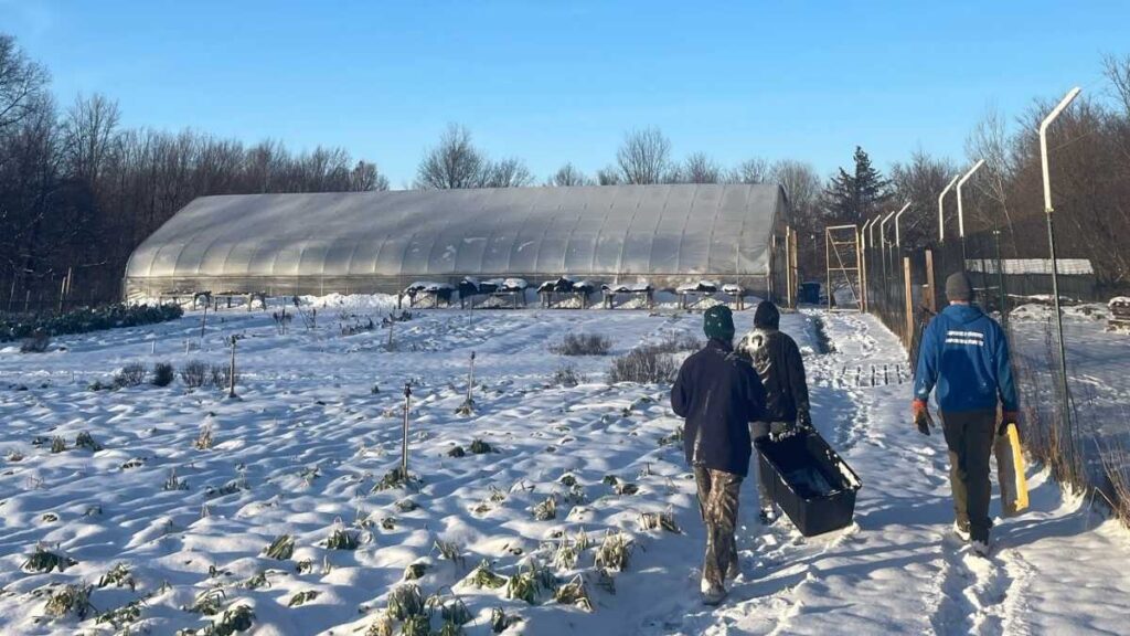 people walking in winter along a trail next to a garden