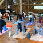Yoga with Apral Kalamazoo nature center