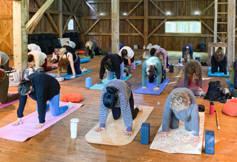 Yoga with Apral Kalamazoo nature center