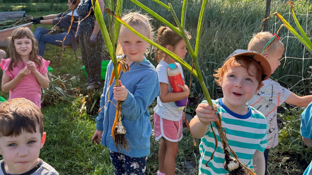 children holding fresh garlic on a farm