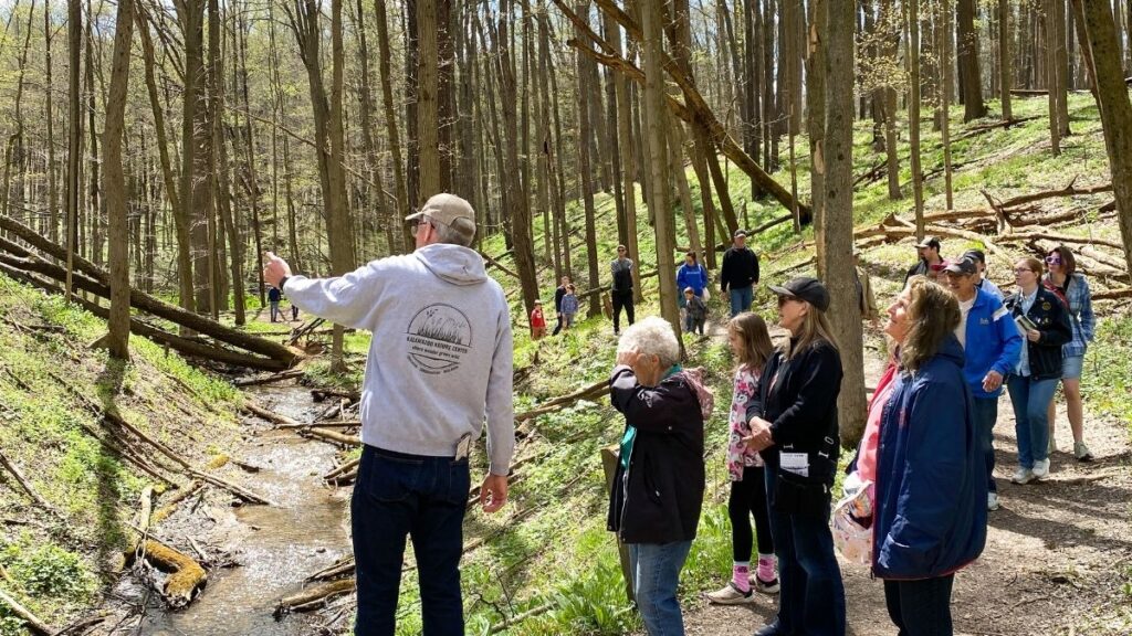 People walking along a stream in the woods on a hike