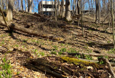 Spring foraging scavenger hunt kalamazoo nature center