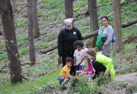 Family wildflower walk kalamazoo nature center michigan