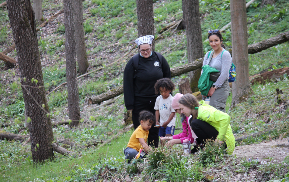 Family wildflower walk kalamazoo nature center michigan