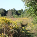 Golf cart tours kalamazoo nature center