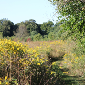Golf cart tours kalamazoo nature center