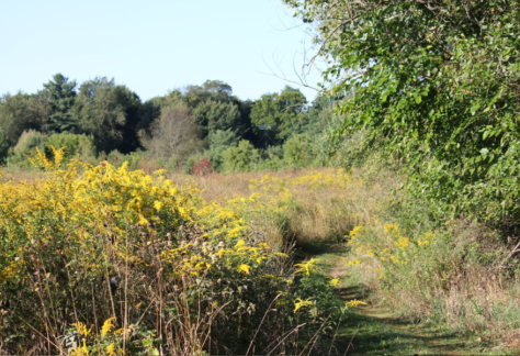 Golf cart tours kalamazoo nature center
