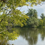 kalamazoo nature center river