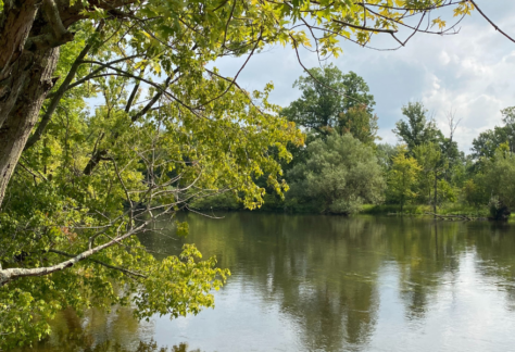 kalamazoo nature center river